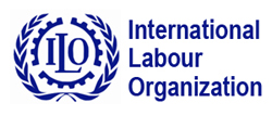 Поправки к Конвенции МОТ (2006) рассмотрены на заседании Специального трехстороннего комитета Международной организации труда